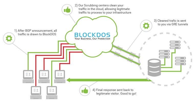 website security and clean traffic data image-Blockdos