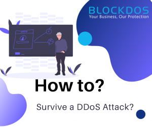 How to Survive a DDoS Attack?