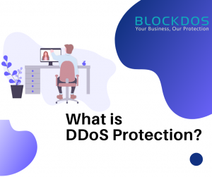 What is DDoS Protection